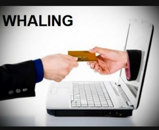 Seguridad: Si Es Contable, Cuidese De Los 'whaling' - CIOAL The Standard IT