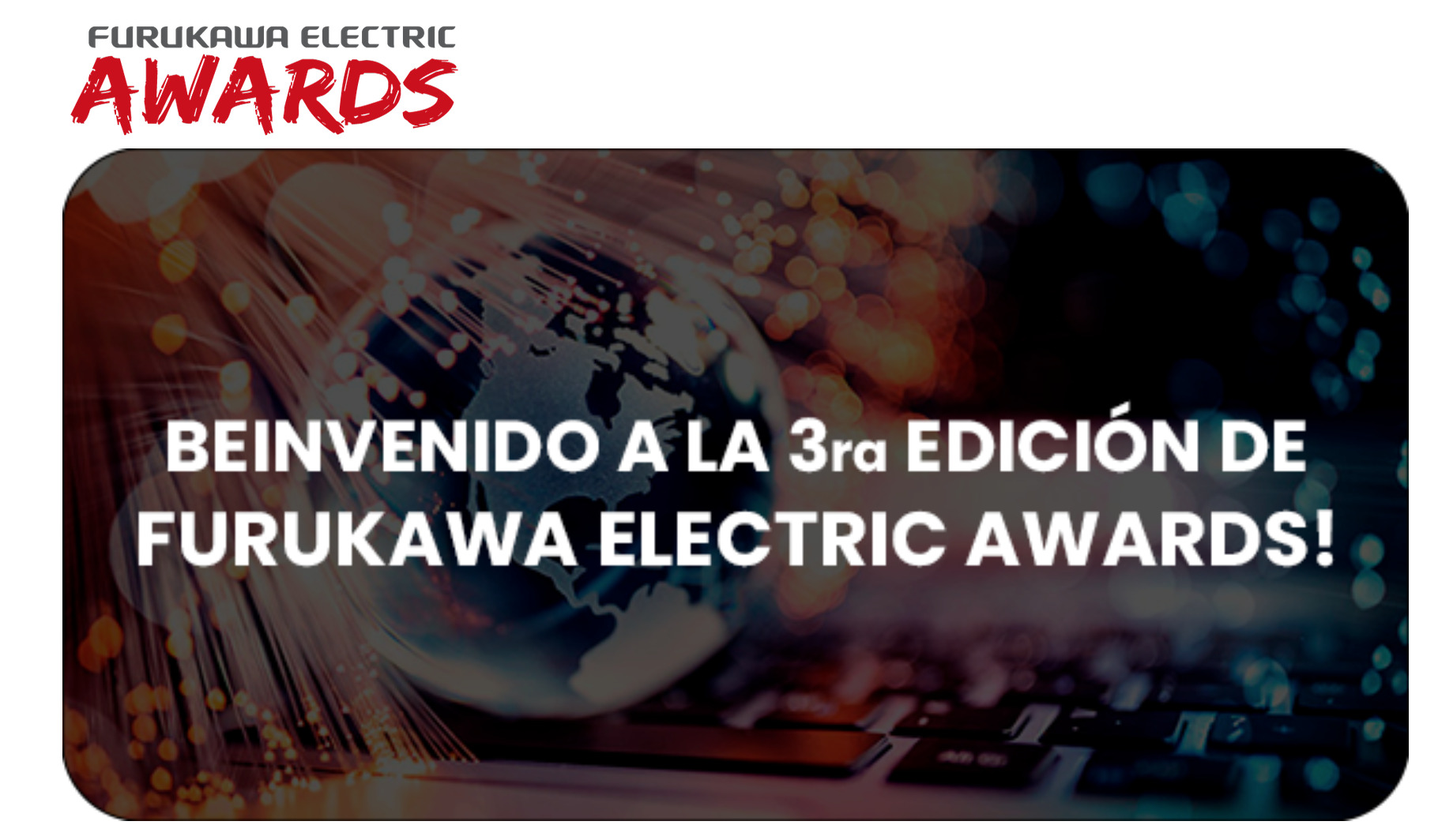 Furukawa Electric Awards