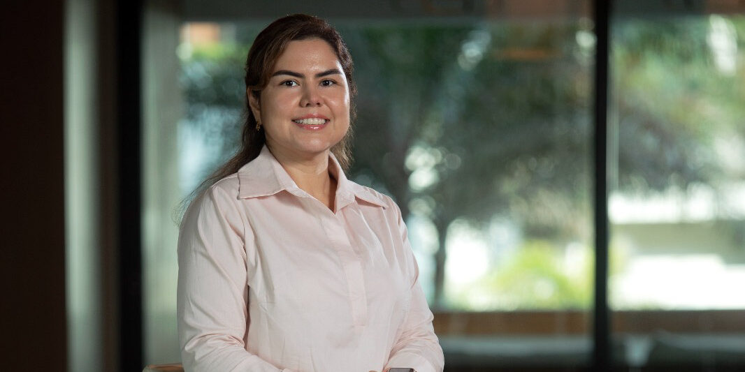 Elecciones presidenciales