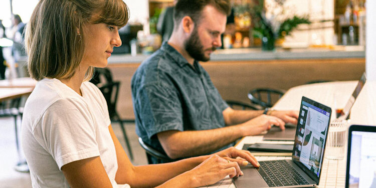 Diseñadores web Diseñador web