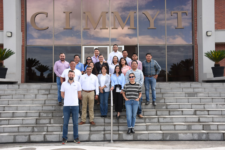 Sede CIMMYT Mexico