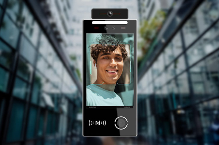 Smartki Scharfstein Scharfstein