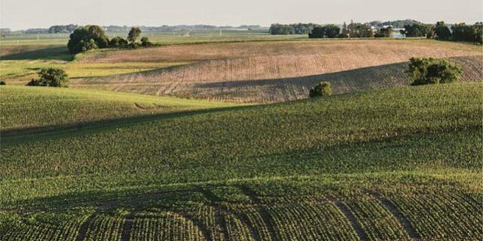 Land Ageotoken Agrotoken